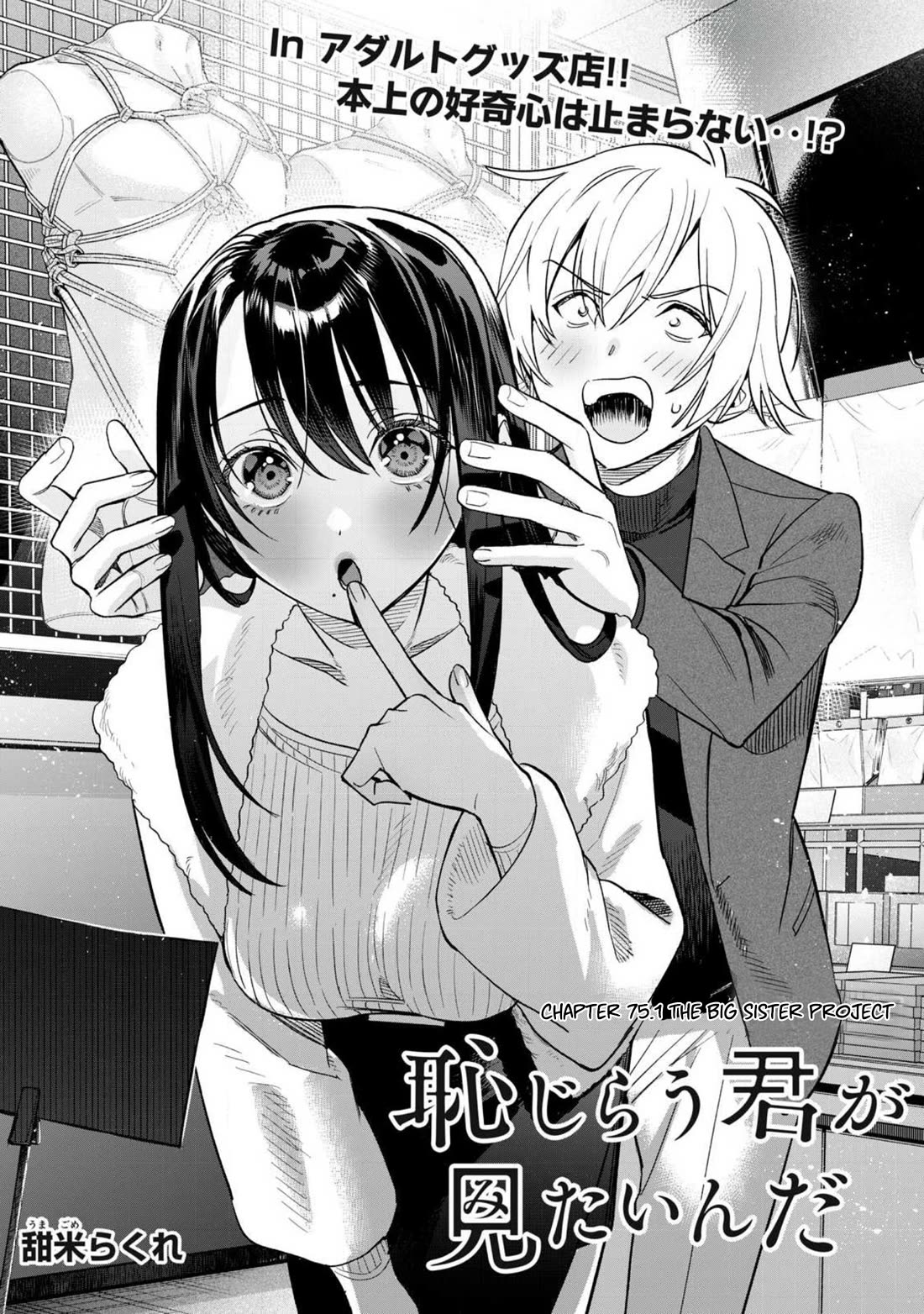 I Want To See You Embarassed Chapter 75.1 page 2 - Chapter 75.1: The Big Sister Project
