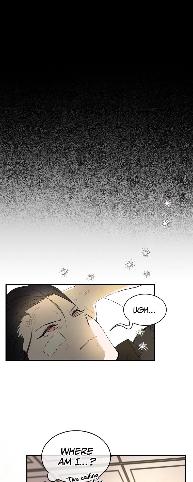 I Was Planning to Become a Loyal Sword Chapter 1 page 28 - Chapter 1