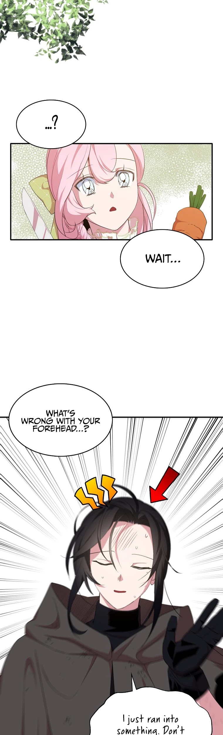 I Was Planning to Become a Loyal Sword Chapter 17 page 5 - Chapter 17
