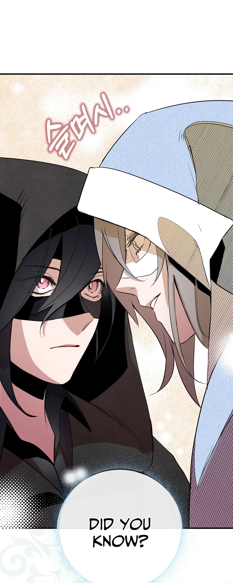 I Was Planning to Become a Loyal Sword Chapter 4 page 17 - Chapter 4