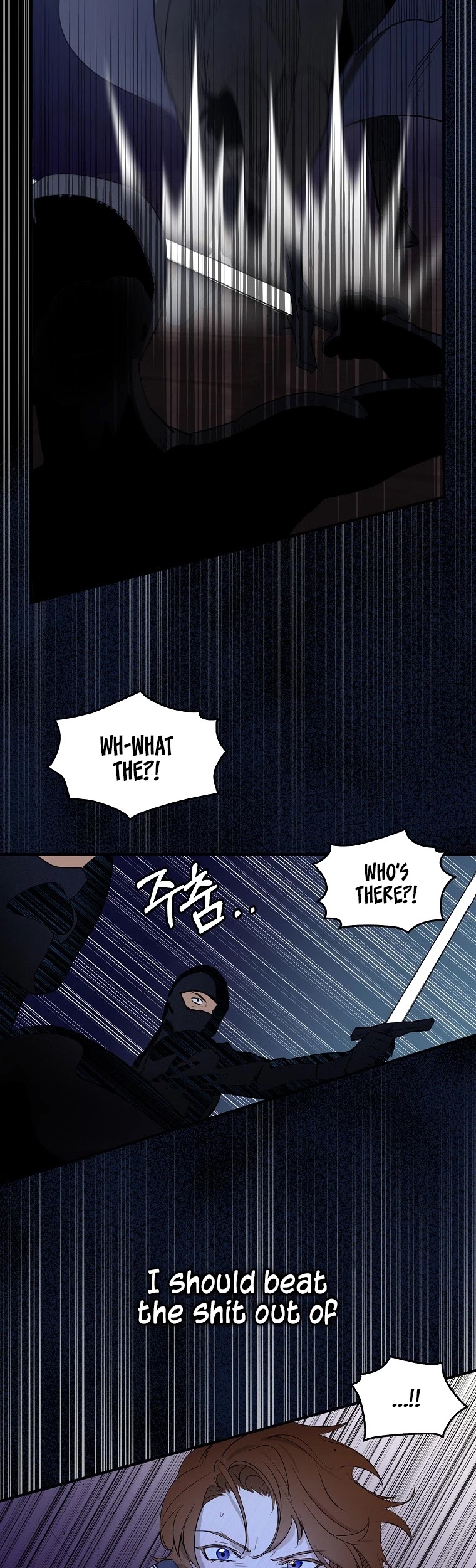 I Was Planning to Become a Loyal Sword Chapter 5 page 11 - Chapter 5