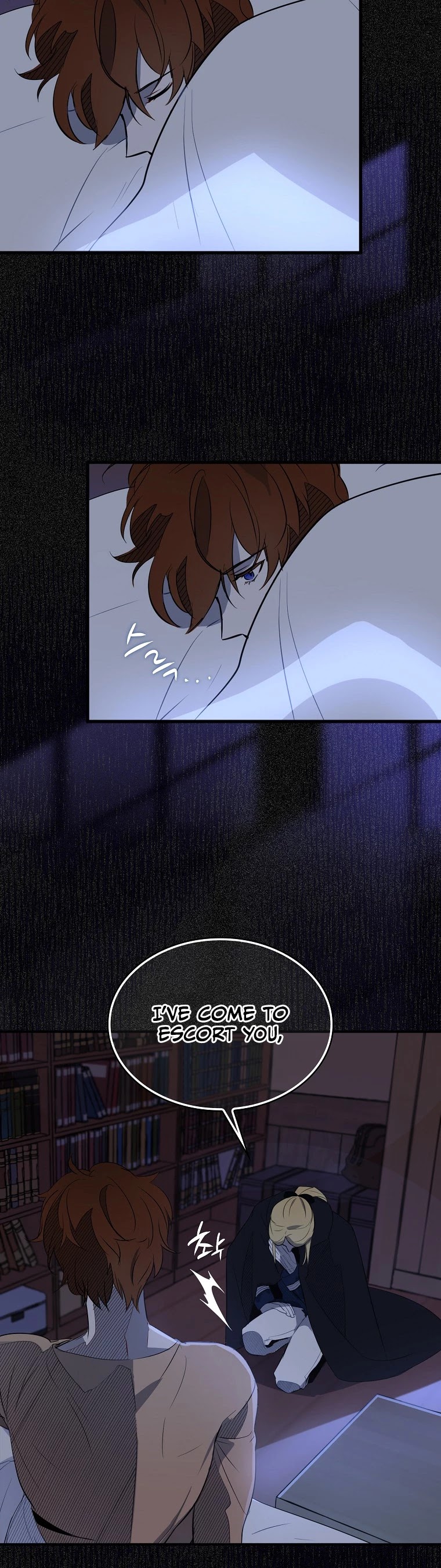 I Was Planning to Become a Loyal Sword Chapter 6 page 36 - Chapter 6