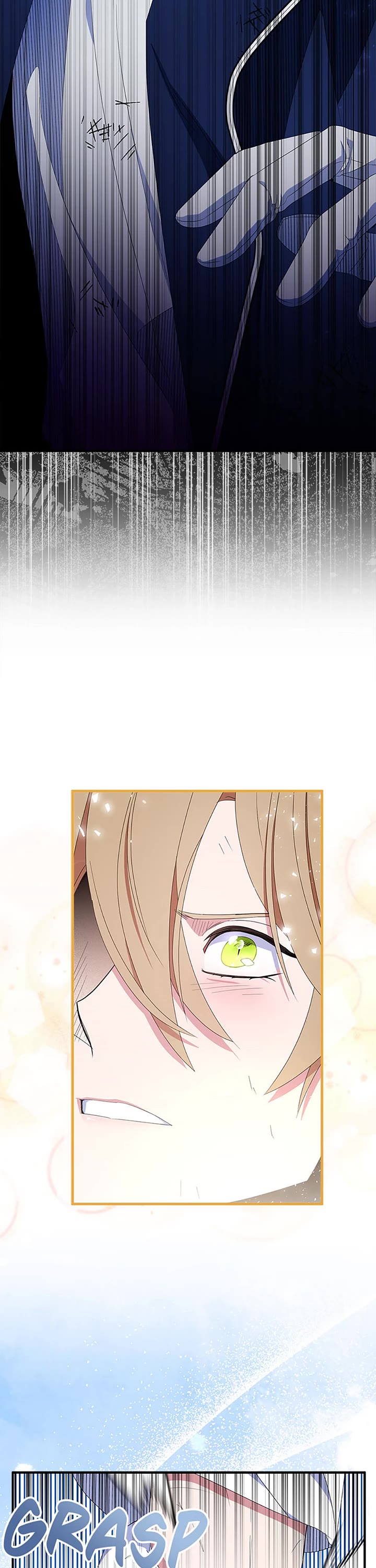 I Was Planning to Become a Loyal Sword Chapter 63 page 13 - Chapter 63