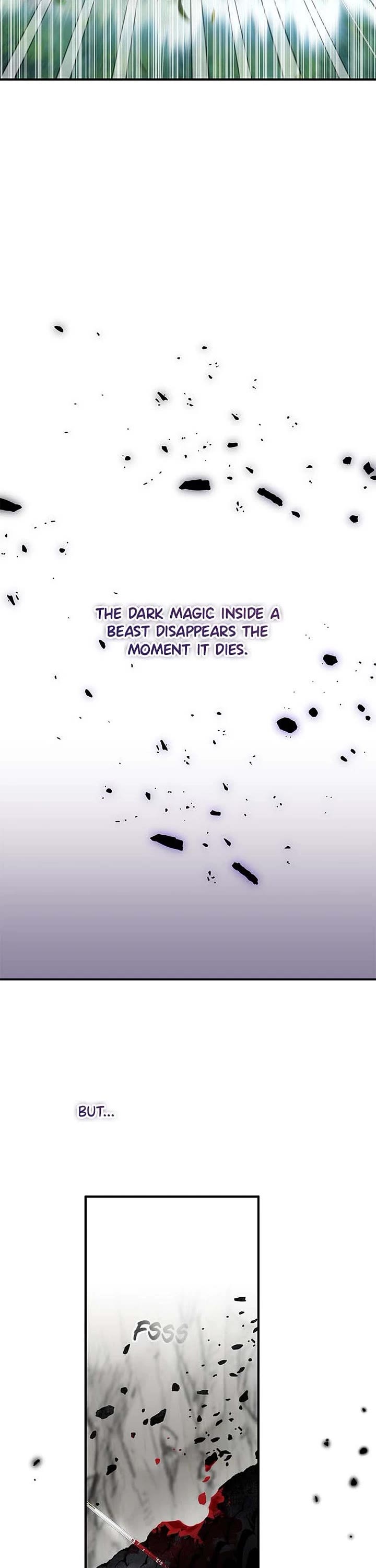 I Was Planning to Become a Loyal Sword Chapter 64 page 34 - Chapter 64