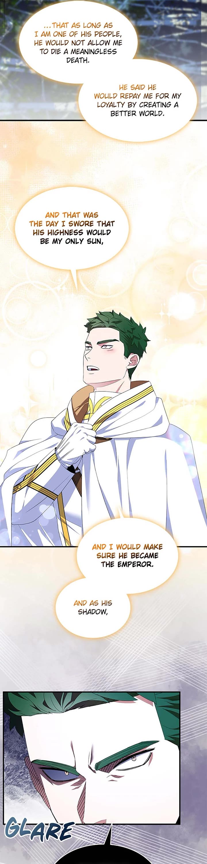 I Was Planning to Become a Loyal Sword Chapter 72 page 27 - Chapter 72