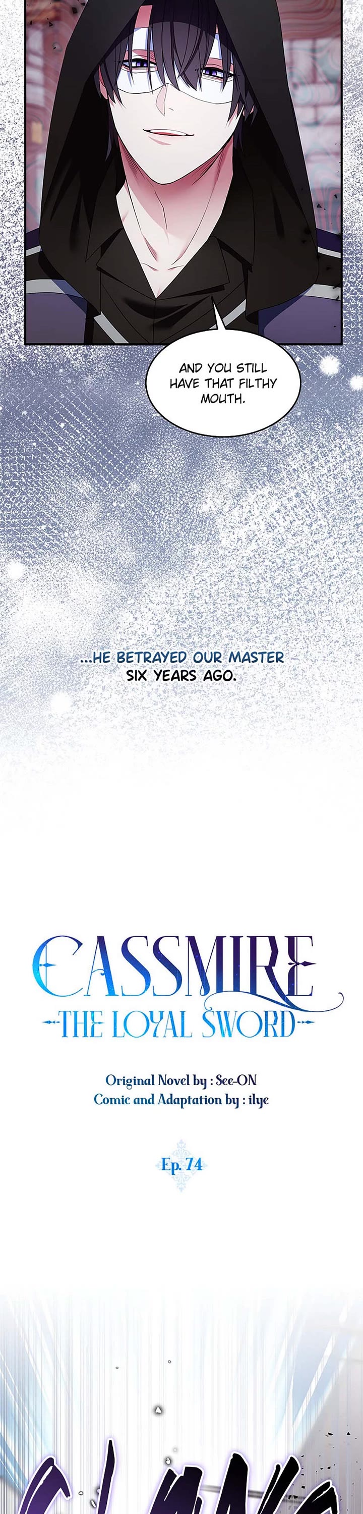 I Was Planning to Become a Loyal Sword Chapter 74 page 10 - Chapter 74