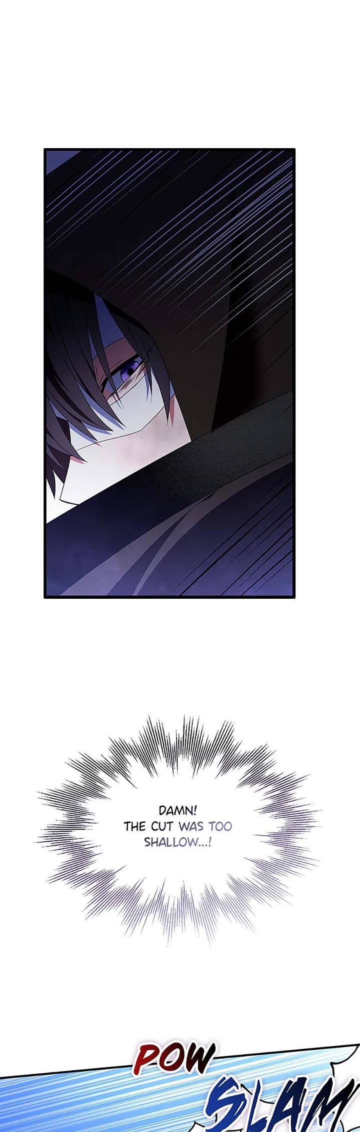 I Was Planning to Become a Loyal Sword Chapter 79 page 5 - Chapter 79