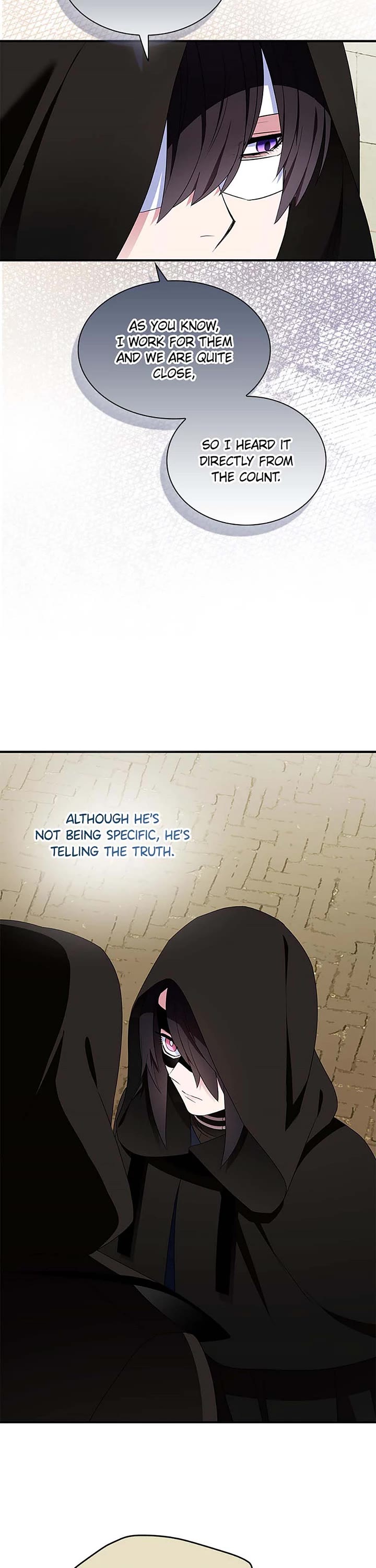 I Was Planning to Become a Loyal Sword Chapter 87 page 27 - Chapter 87