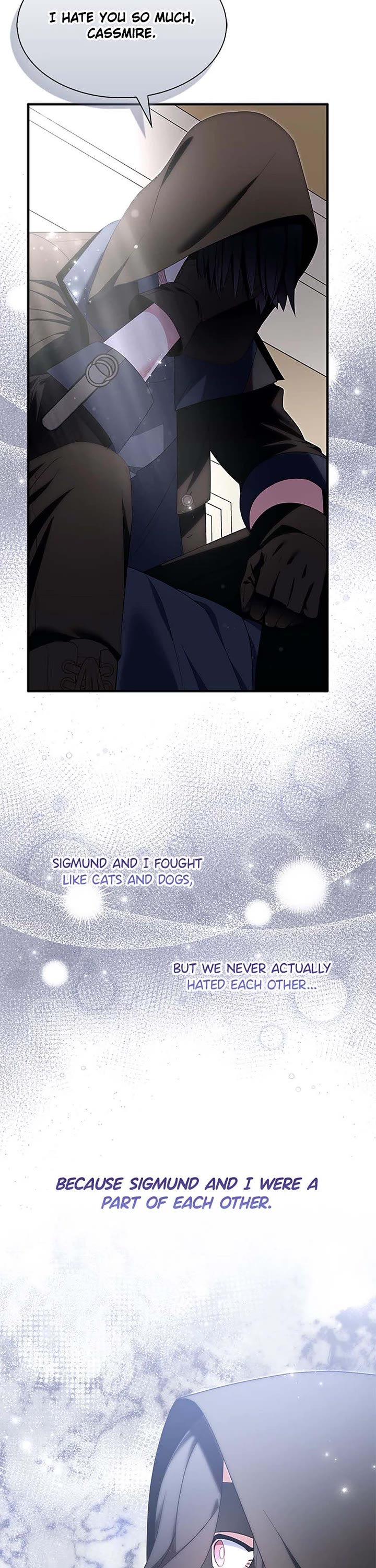 I Was Planning to Become a Loyal Sword Chapter 95 page 14 - Chapter 95