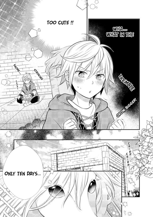 I  Was Reincarnated as a Poor Farmer in a Different World, so I Decided to Make Bricks to Build a Castle Chapter 4.1 page 9 - Chapter 4.1