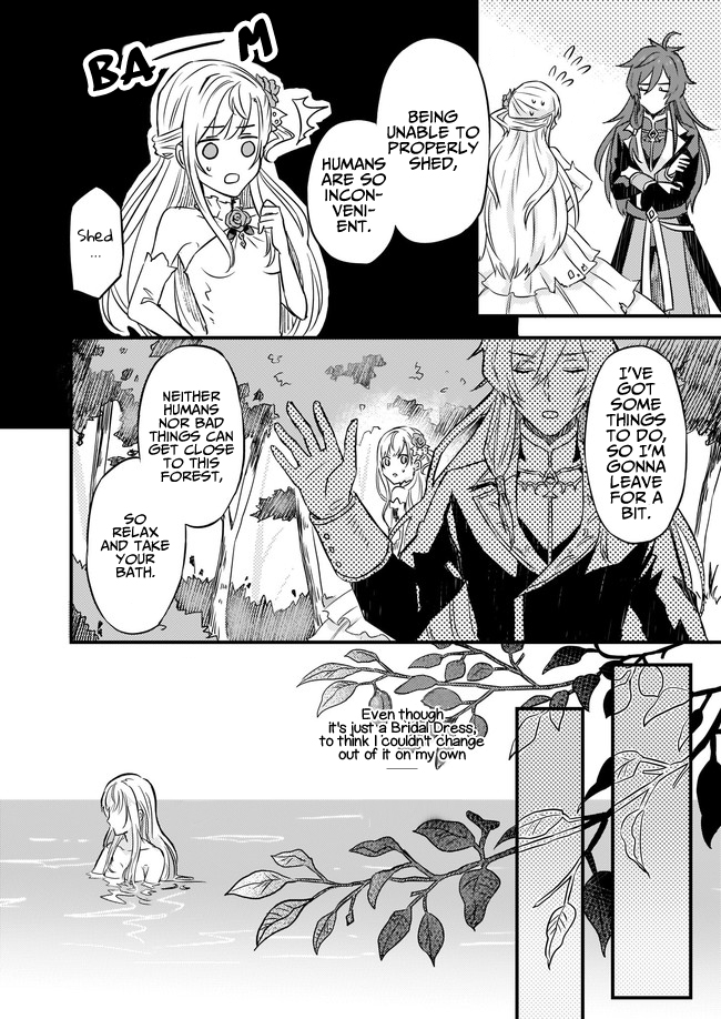 I was Told to Relinquish My Fiance to My Little Sister, and the Greatest Dragon Took a Liking to Me and Unbelievably Took Over the Kingdom Chapter 2 page 18 - Chapter 2