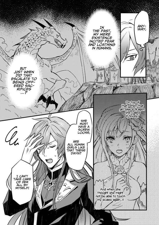 I was Told to Relinquish My Fiance to My Little Sister, and the Greatest Dragon Took a Liking to Me and Unbelievably Took Over the Kingdom Chapter 2 page 20 - Chapter 2