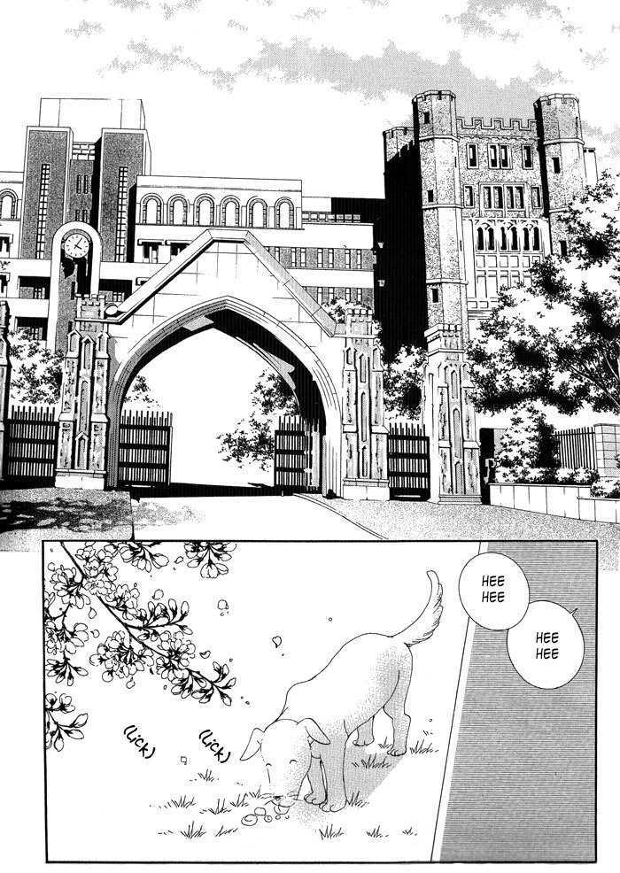 I Will Be Cinderella Chapter 1 page 7 - Chapter 1