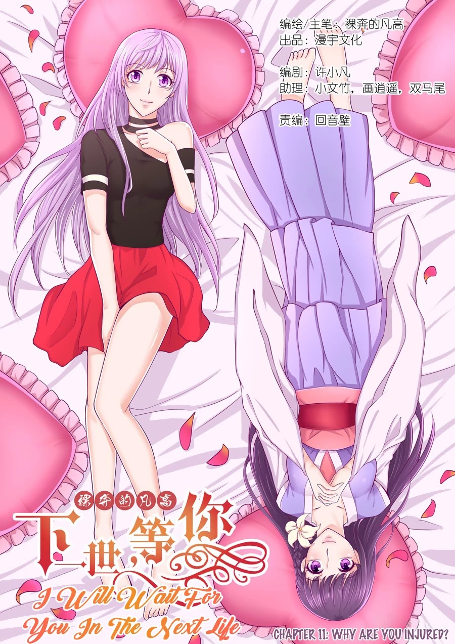 I Will Wait For You In The Next Life Chapter 11 page 3 - Chapter 11: Why Are You Injured?