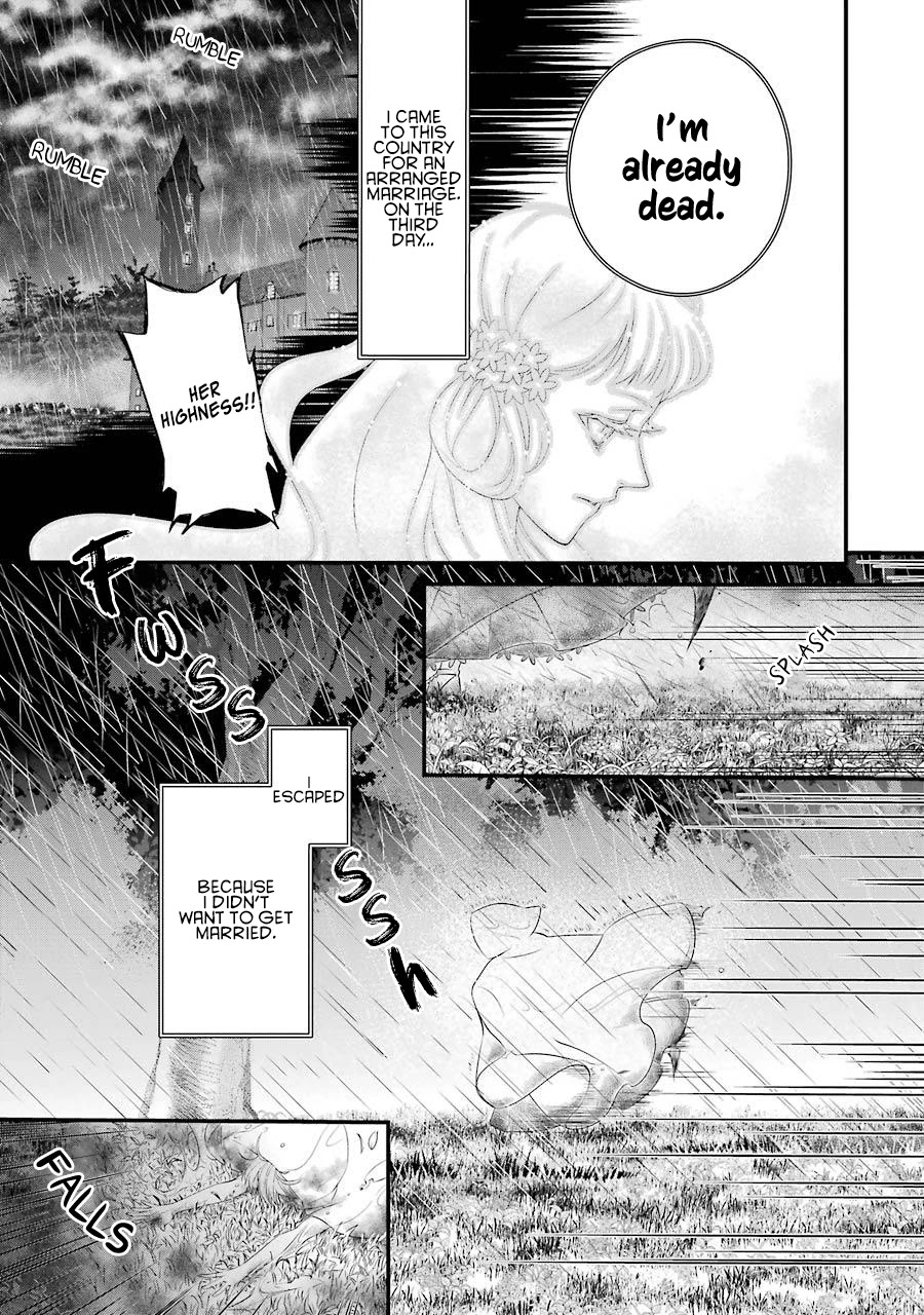 I Worked Myself to Death and Reincarnated as the Queen of His Majesty, Who Is Younger than Me! Chapter 2 page 9 - Chapter 2: Emilia and Emi