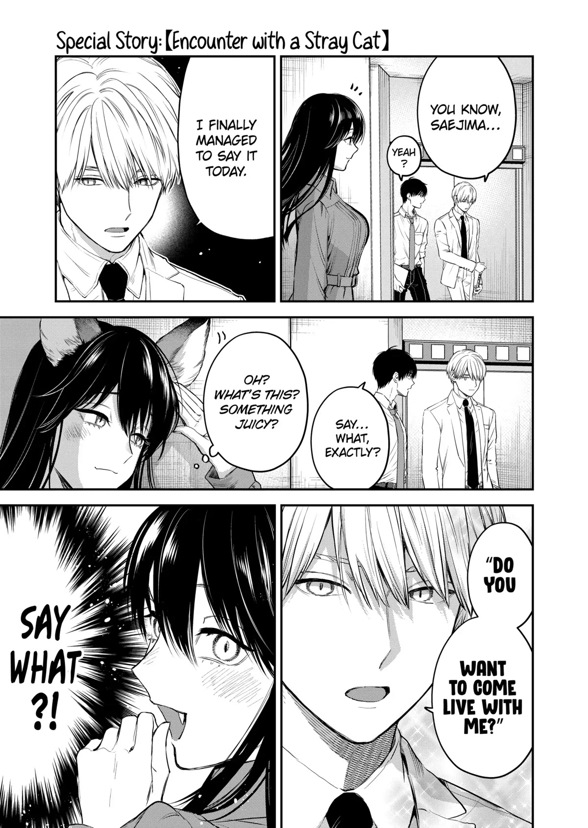 Ice Guy and the Cool Female Colleague Chapter 37.5 page 1 - Chapter 37.5: Special Story: Encounter with a Stray Cat