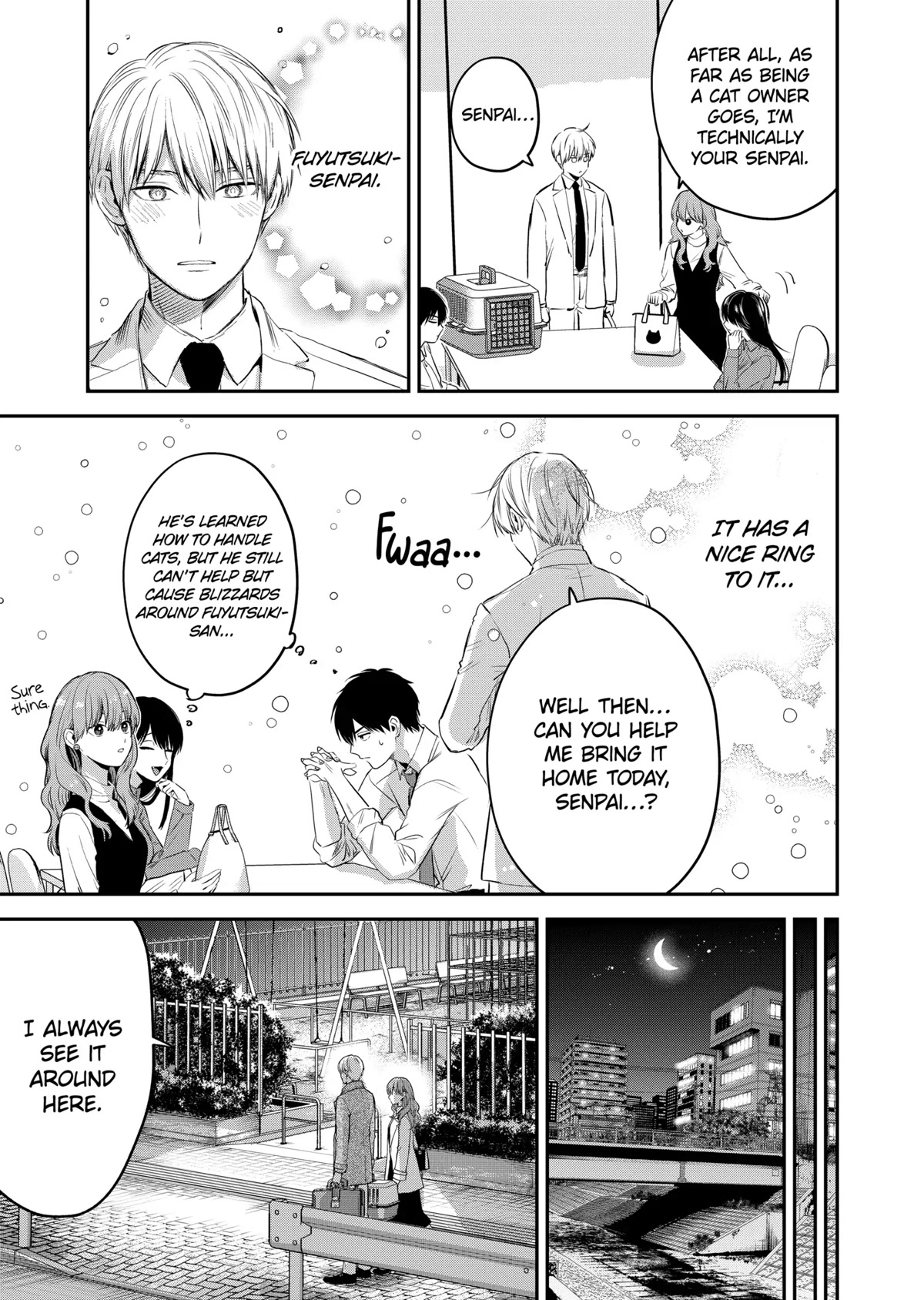 Ice Guy and the Cool Female Colleague Chapter 37.5 page 11 - Chapter 37.5: Special Story: Encounter with a Stray Cat
