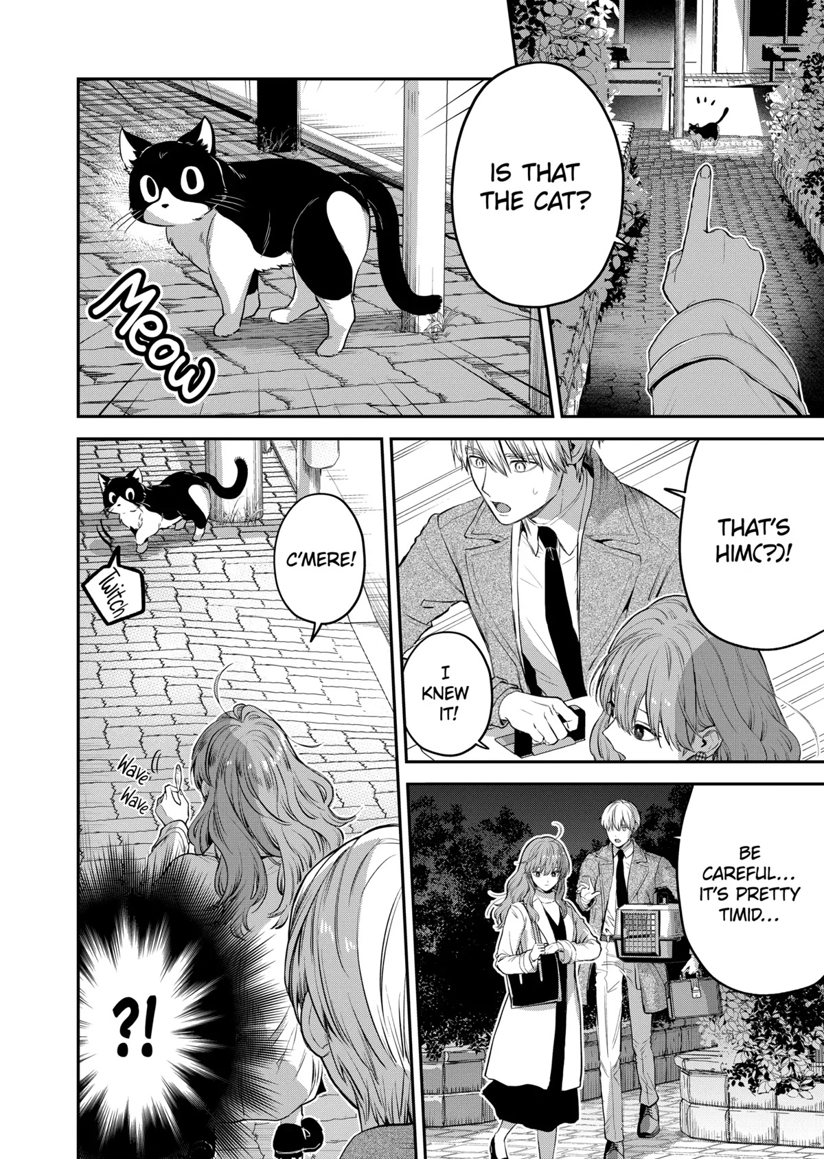 Ice Guy and the Cool Female Colleague Chapter 37.5 page 14 - Chapter 37.5: Special Story: Encounter with a Stray Cat