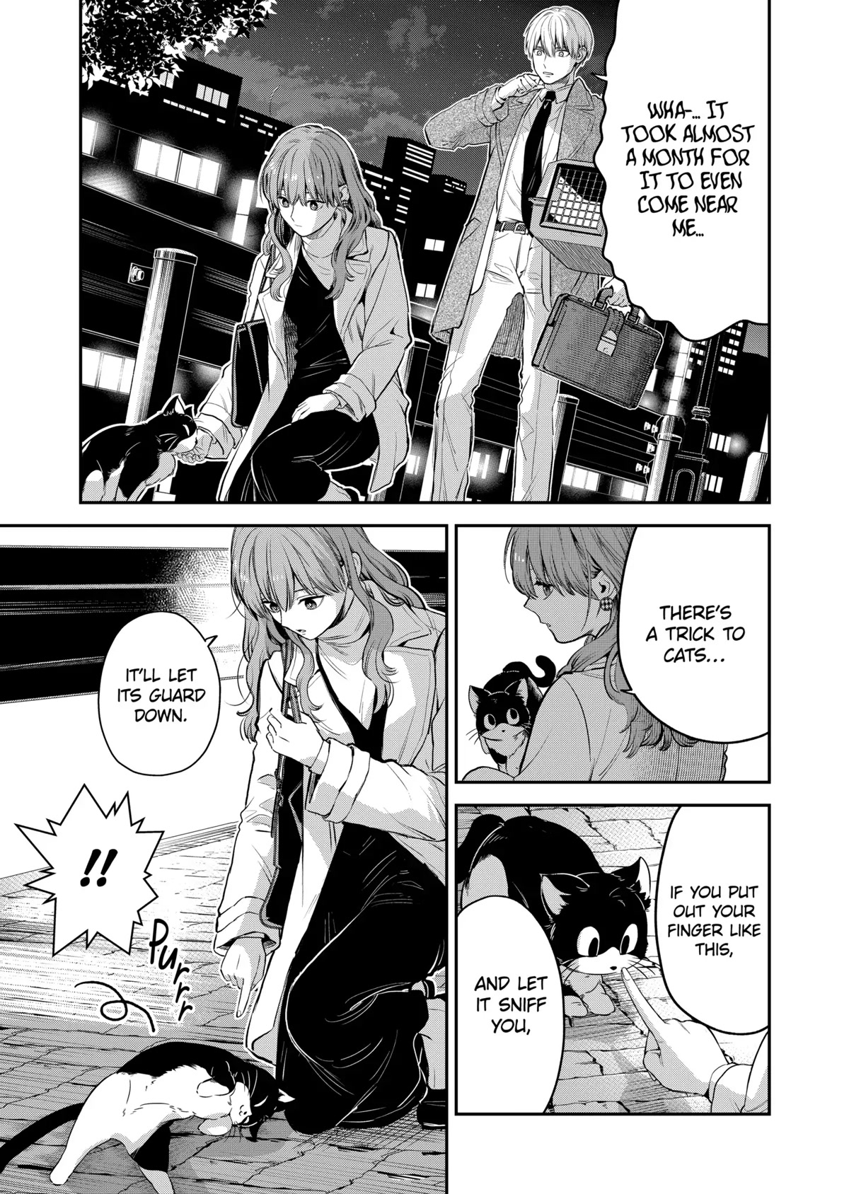 Ice Guy and the Cool Female Colleague Chapter 37.5 page 15 - Chapter 37.5: Special Story: Encounter with a Stray Cat