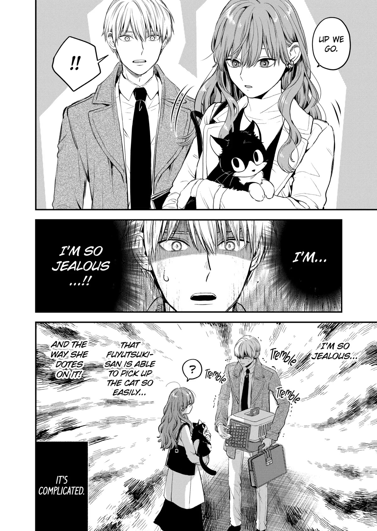 Ice Guy and the Cool Female Colleague Chapter 37.5 page 16 - Chapter 37.5: Special Story: Encounter with a Stray Cat