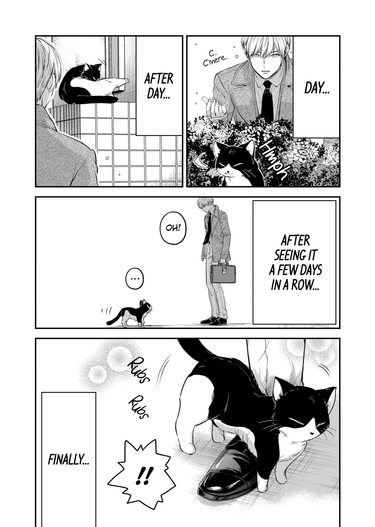 Ice Guy and the Cool Female Colleague Chapter 37.5 page 6 - Chapter 37.5: Special Story: Encounter with a Stray Cat