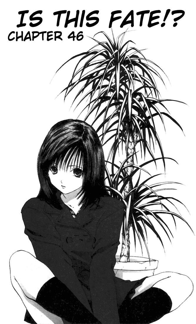 Ichigo 100% Chapter 46 page 1 - Chapter 46: Is This Fate!