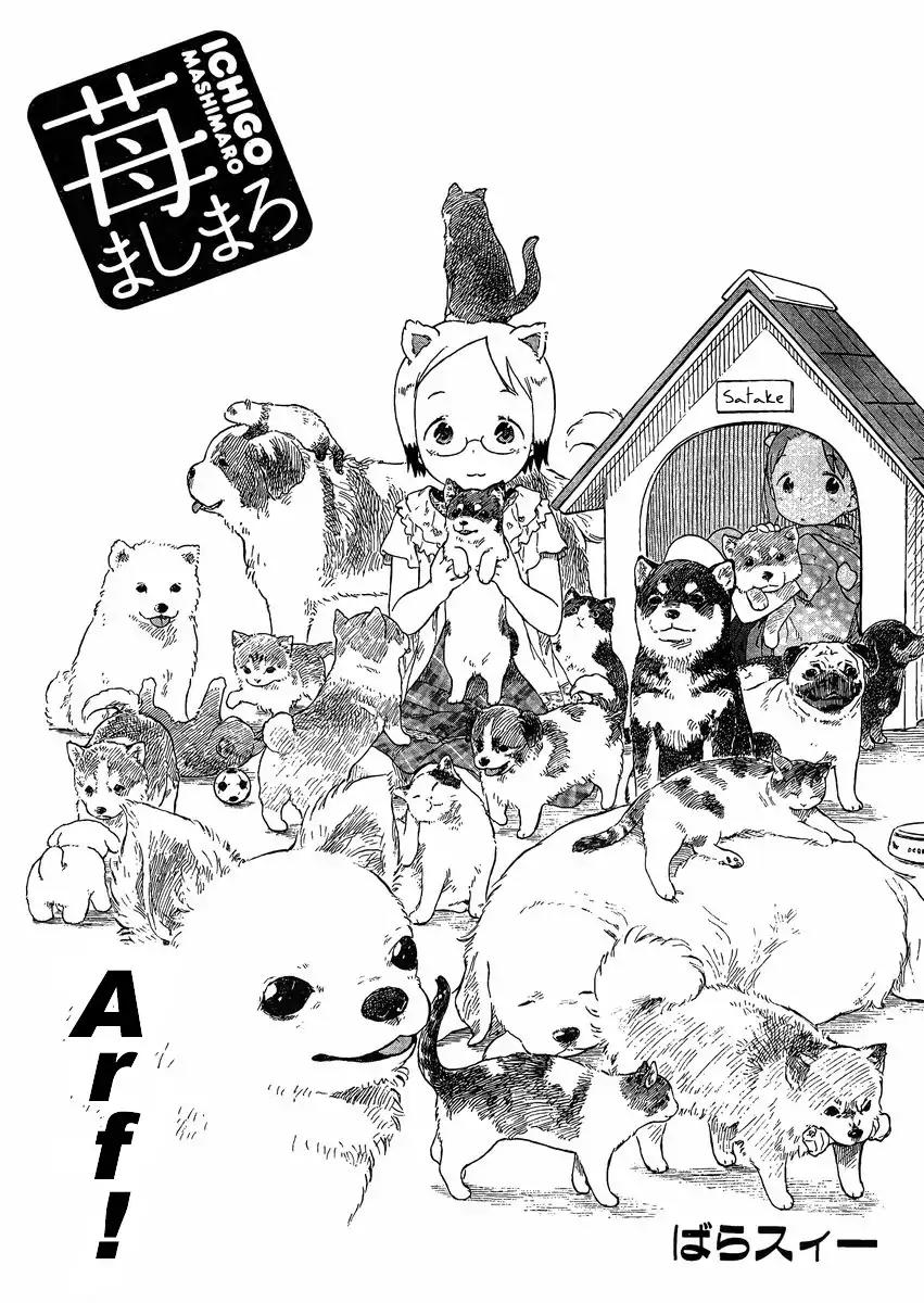 Ichigo Mashimaro Chapter 65 page 2 - Chapter 65: 4-koma