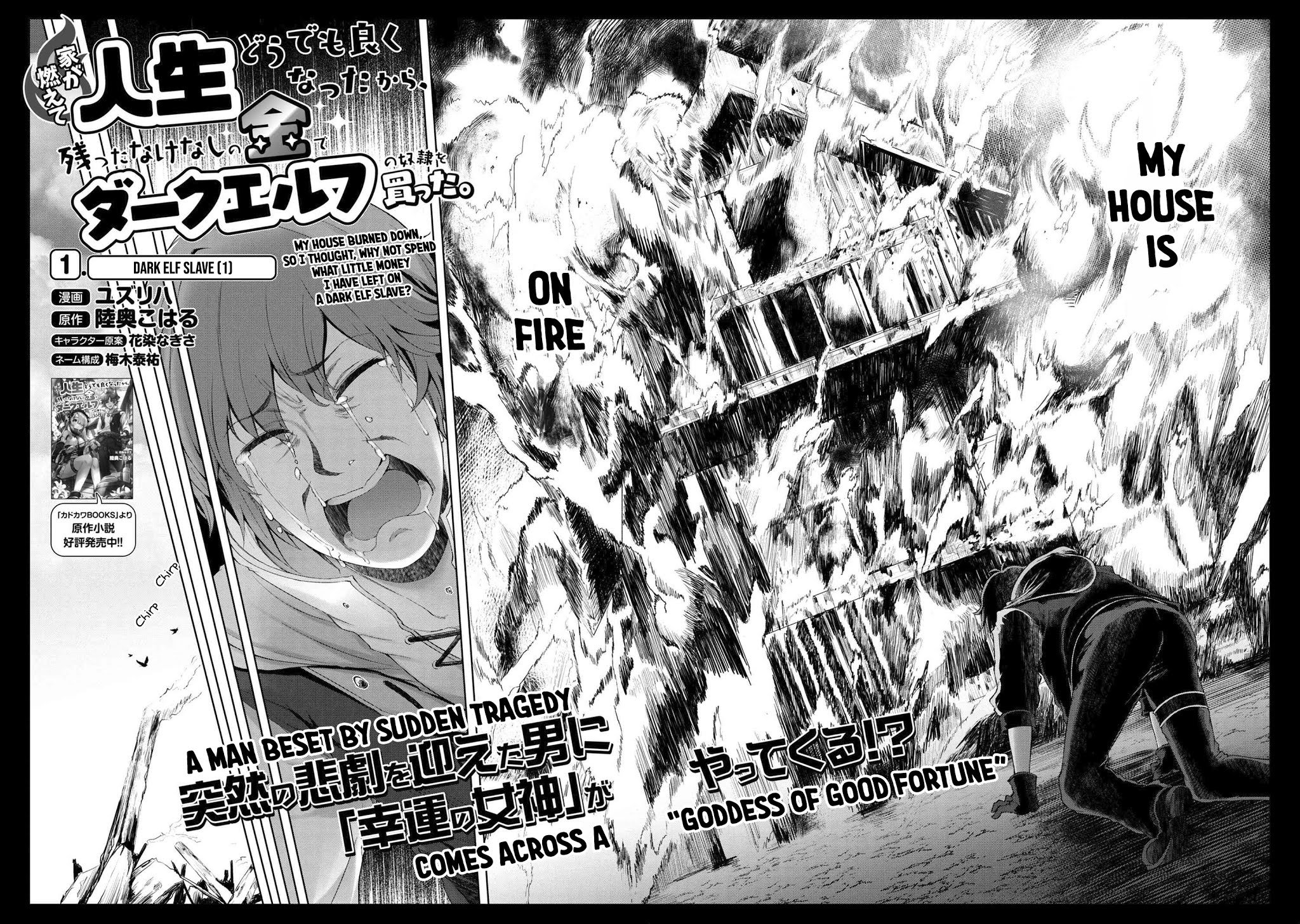 Ie ga Moete Jinsei Dou Demo Yoku Natta kara, Nokotta Nakenashi no Kin de Dark Elf no Dorei o Katta Chapter 1 page 3 - Chapter 1: Dark Elf Slave (1)