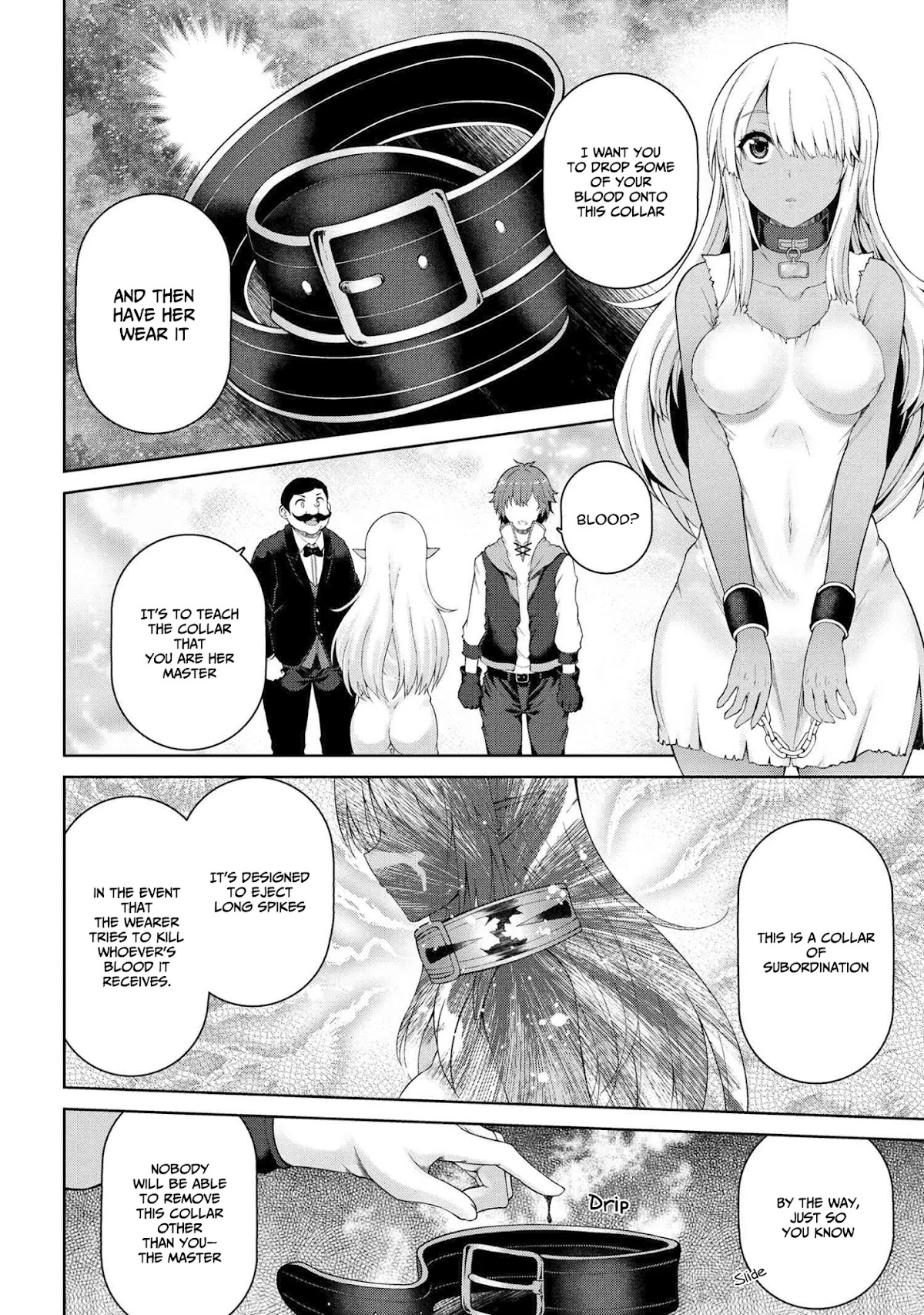 Ie ga Moete Jinsei Dou Demo Yoku Natta kara, Nokotta Nakenashi no Kin de Dark Elf no Dorei o Katta Chapter 1 page 30 - Chapter 1: Dark Elf Slave (1)