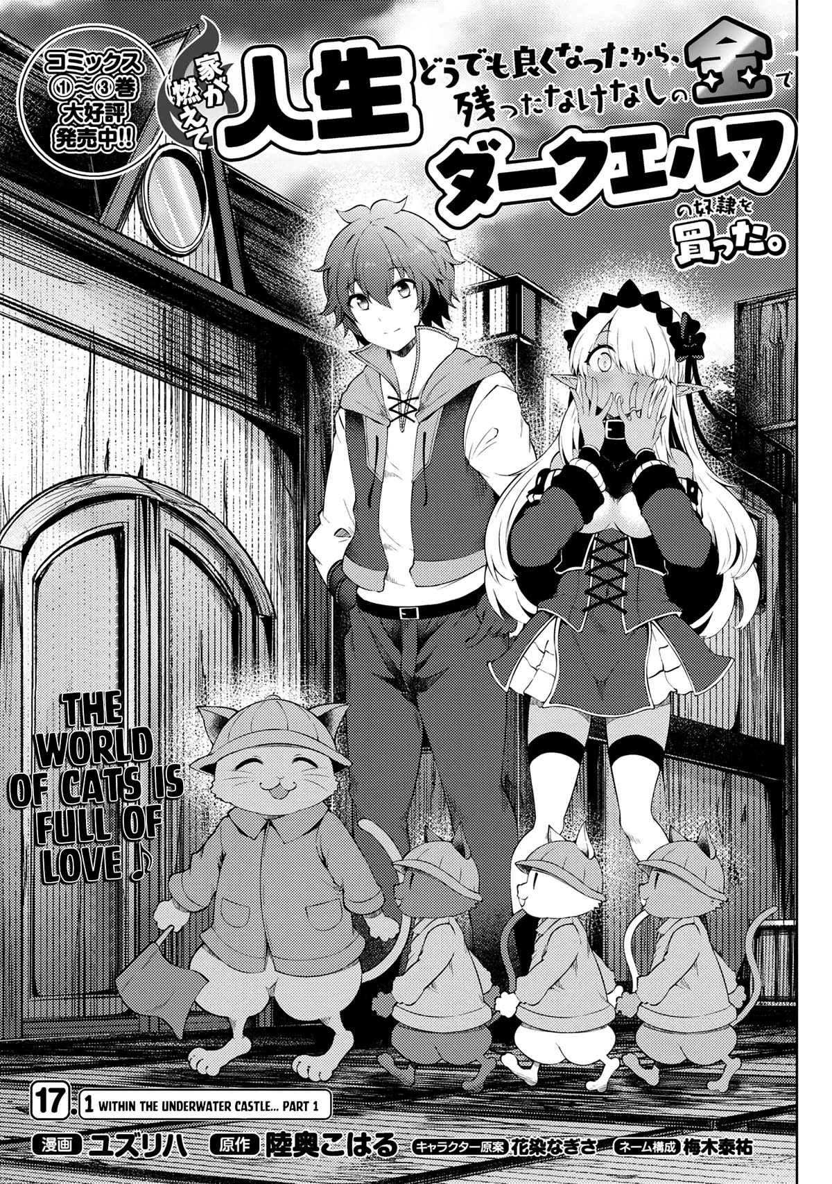Ie ga Moete Jinsei Dou Demo Yoku Natta kara, Nokotta Nakenashi no Kin de Dark Elf no Dorei o Katta Chapter 17.1 page 2 - Chapter 17.1