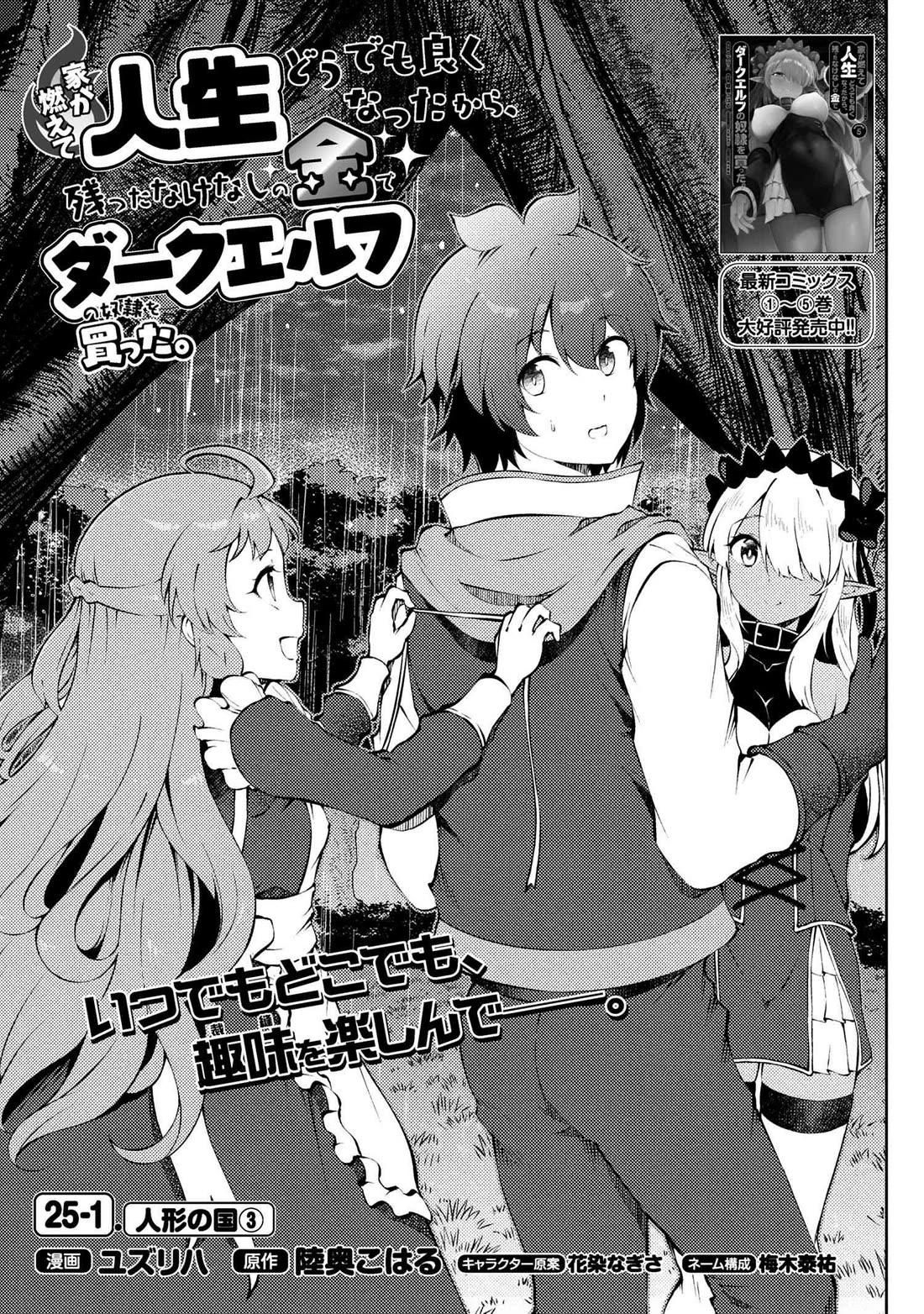 Ie ga Moete Jinsei Dou Demo Yoku Natta kara, Nokotta Nakenashi no Kin de Dark Elf no Dorei o Katta Chapter 25 page 2 - Chapter 25