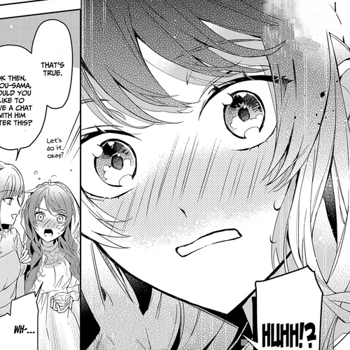 If the Villainess and the Villain Were to Meet and Fall in Love Chapter 10 cover