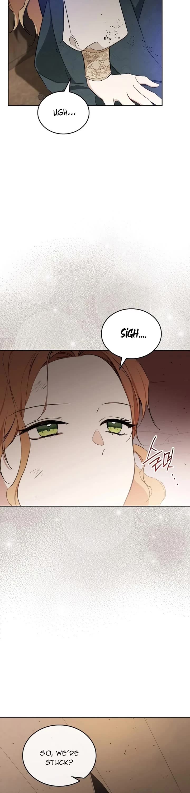 I'll Be the Matriarch in This Life Chapter 157 page 47 - Chapter 157