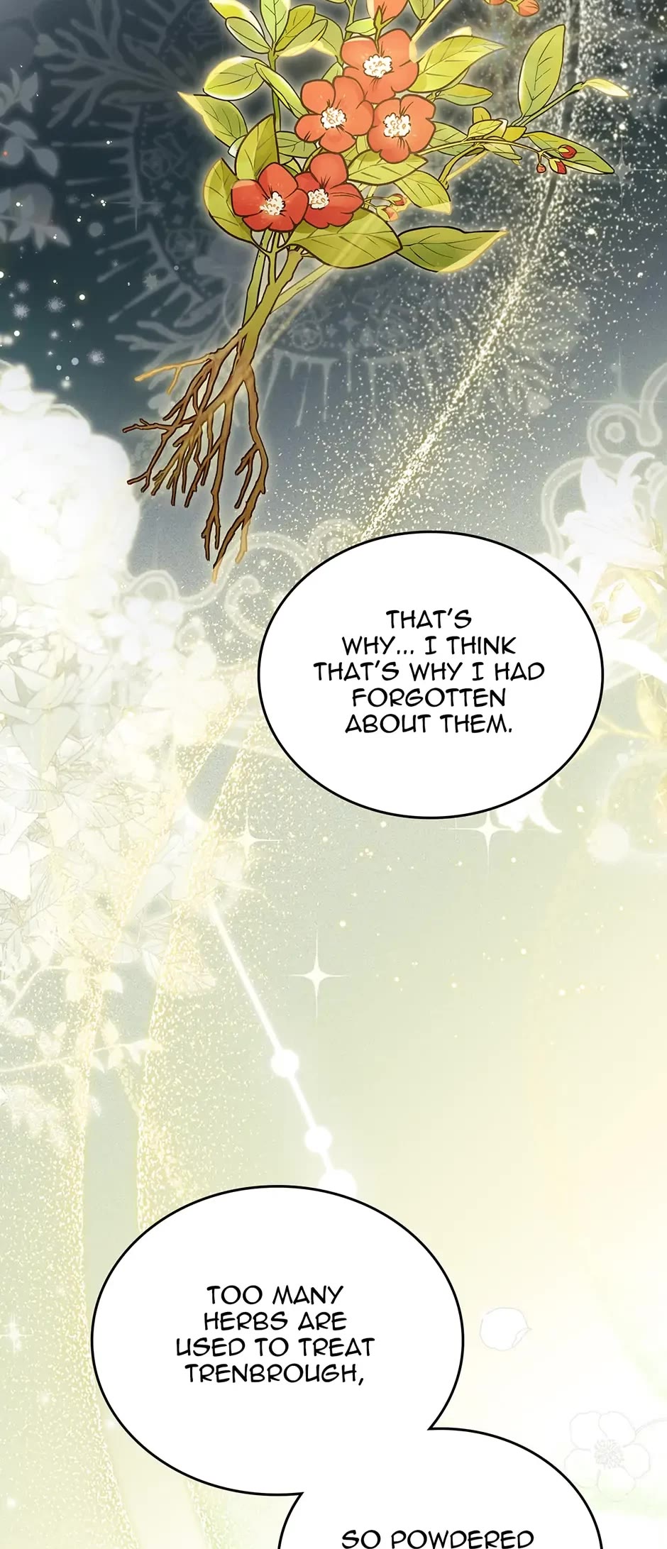 I'll Be the Matriarch in This Life Chapter 72 page 14 - Chapter 72: Perfecting the Medicine