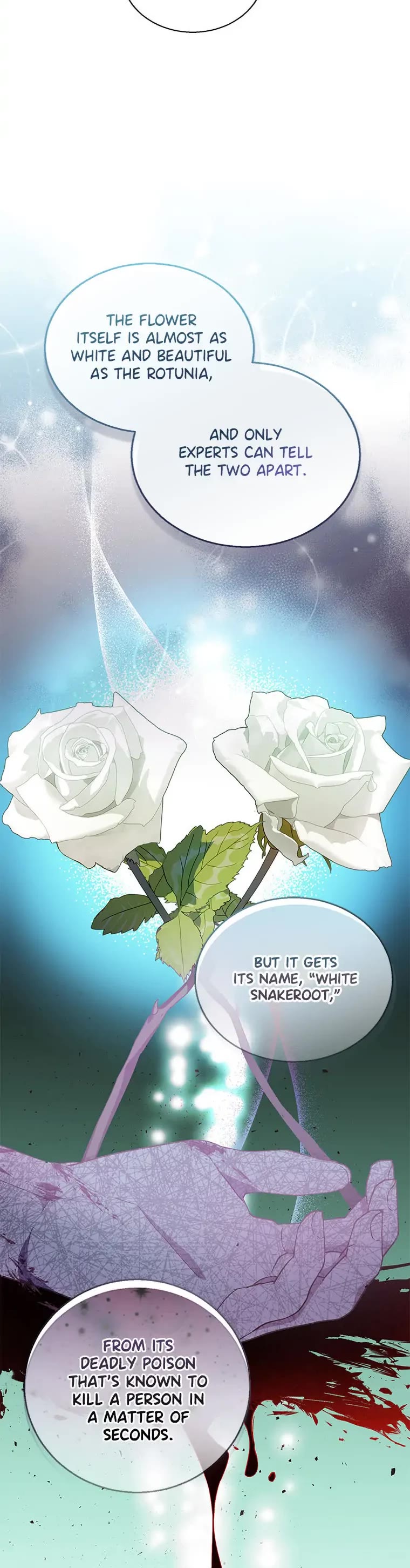 I'm a Fake Saintess But the Gods Are Obsessed With Me Chapter 34 page 24 - Chapter 34