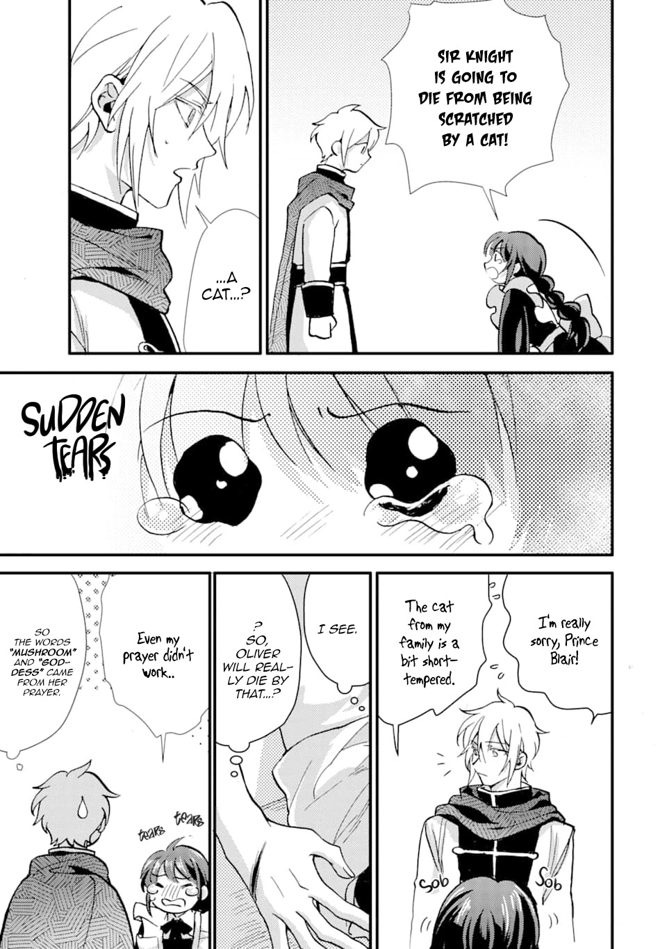 I'm a Lady's Maid, I've Pulled Out THE HOLY SWORD! Chapter 14 page 14 - Chapter 14: The Hero's Awakening