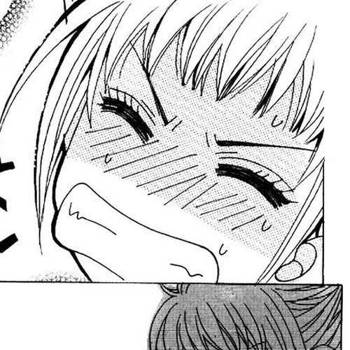 I'm Looking for the Princess Chapter 11 cover