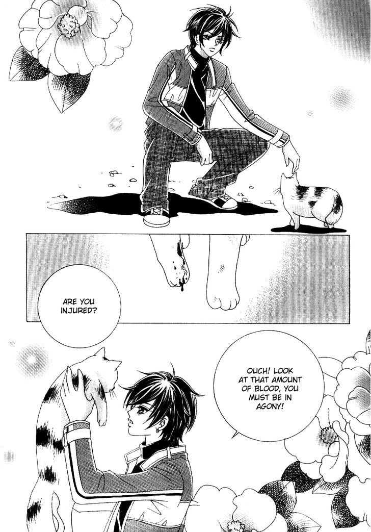 I'm Looking for the Princess Chapter 9 page 53 - Chapter 9