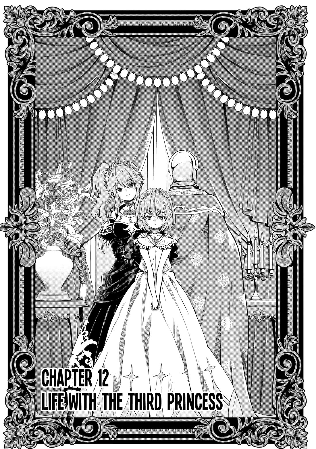 I’m No Hero of the Shadows! Chapter 12 page 1 - Chapter 12