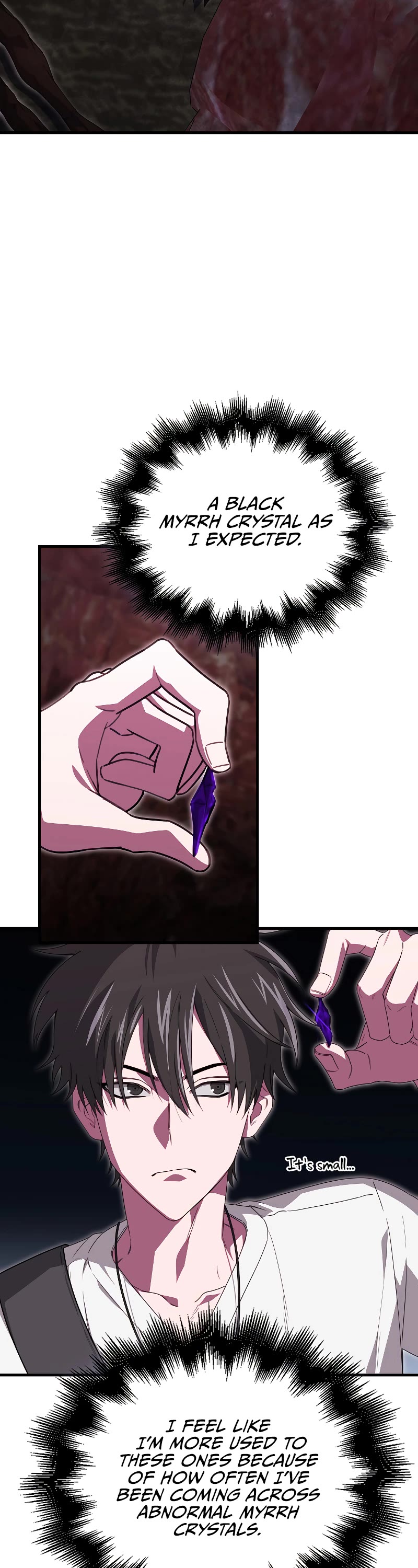 I'm Not a Regressor Chapter 22 page 3 - Chapter 22