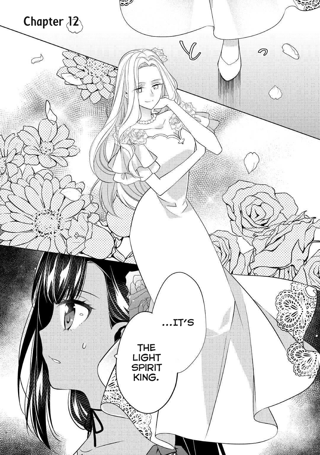 I’m Not a Villainess!! Just Because I Can Control Darkness Doesn’t Mean I’m a Bad Person! Chapter 12.1 page 2 - Chapter 12.1: Publisher 2nd Edition