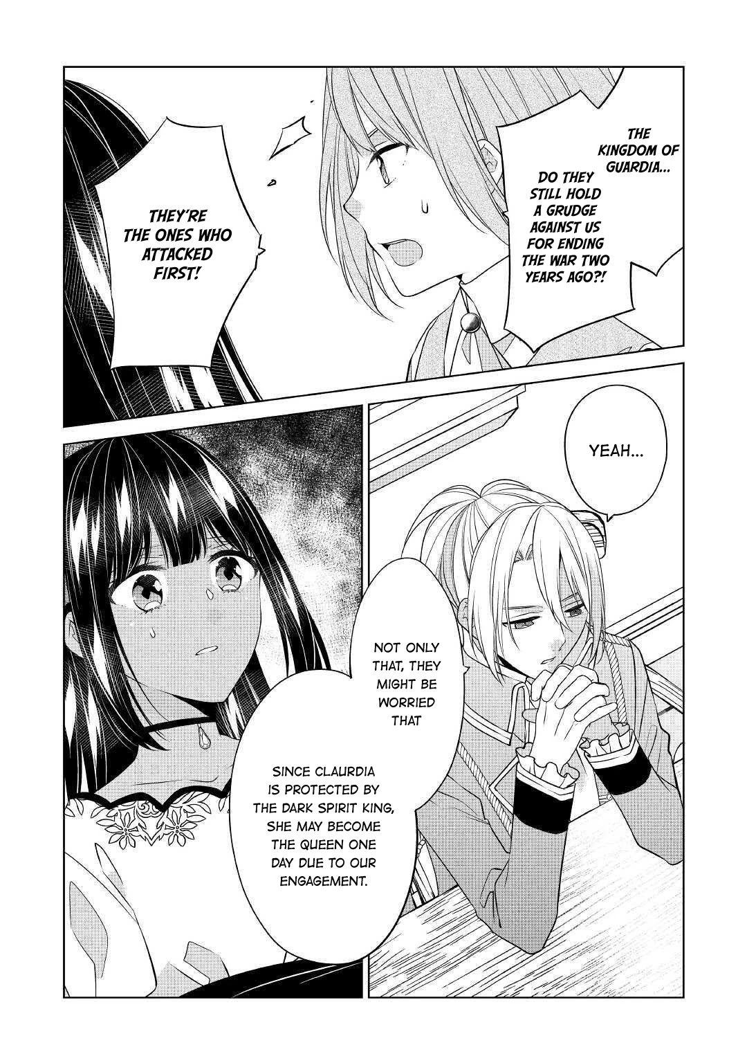 I’m Not a Villainess!! Just Because I Can Control Darkness Doesn’t Mean I’m a Bad Person! Chapter 14 page 12 - Chapter 14