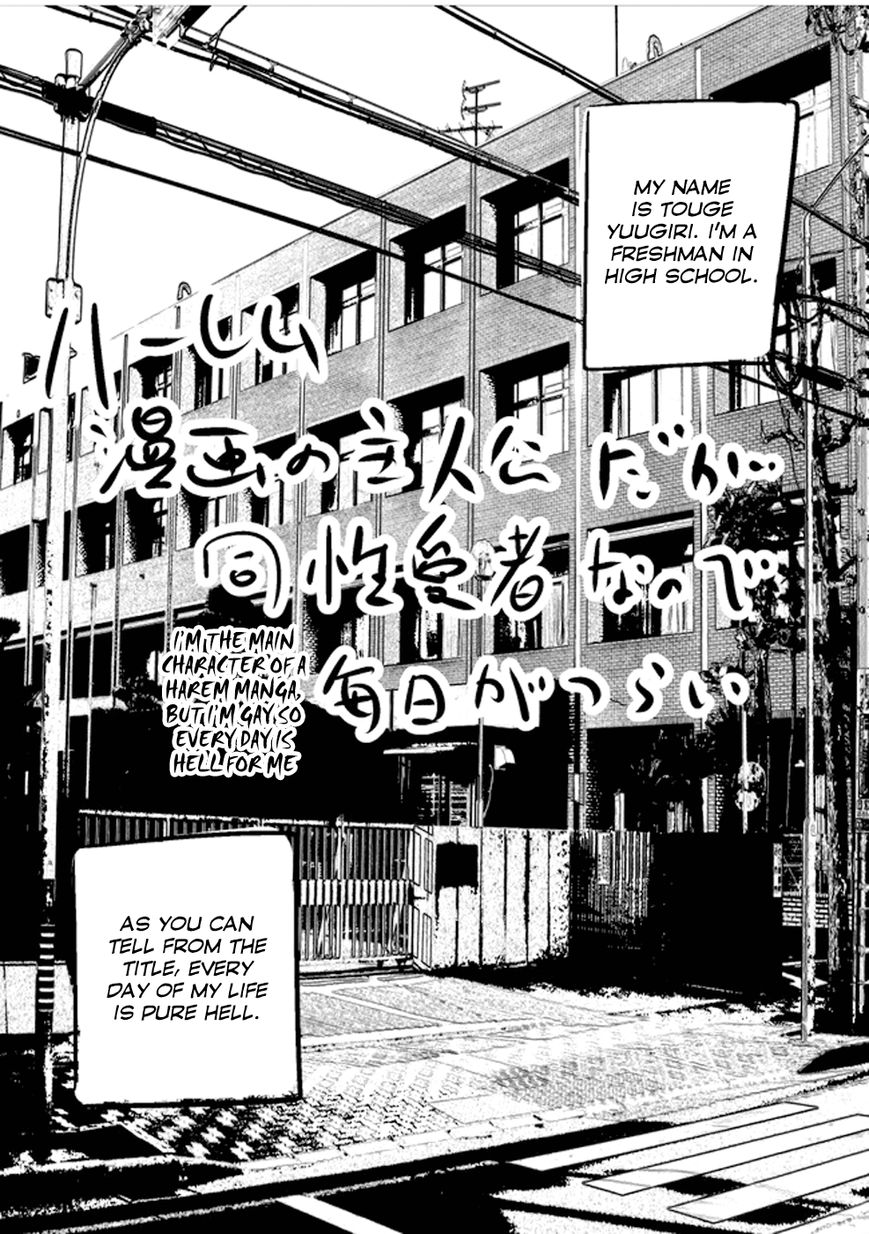 I'm the Main character of a Harem Manga, but I'm Gay So Every Day Is Hell for Me Chapter 2 page 1 - Chapter 2