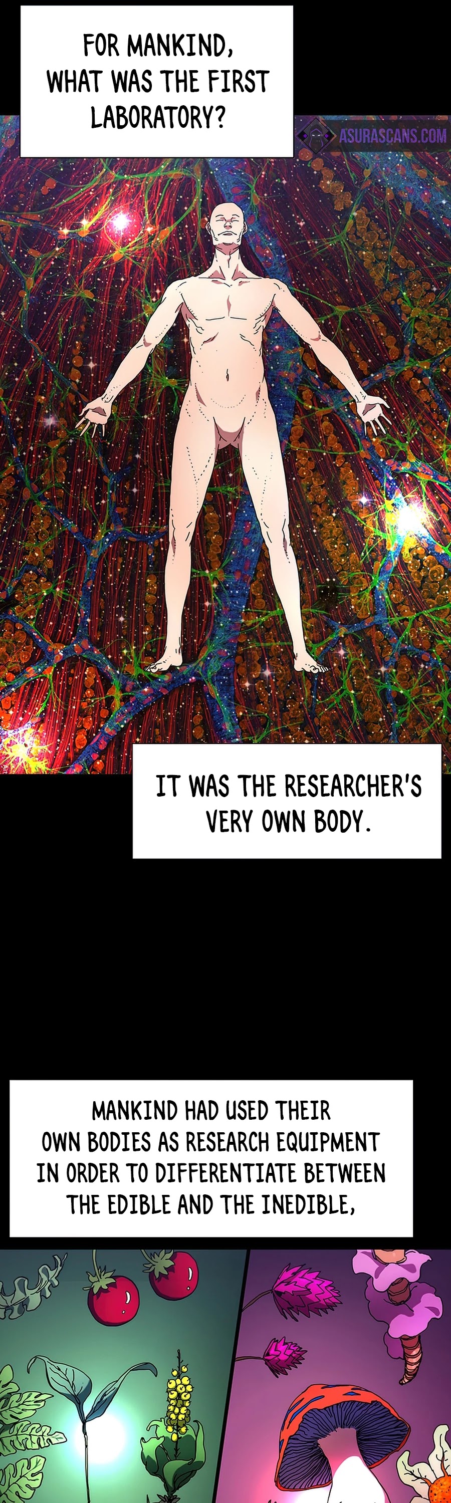 I'm the Only One Loved by the Constellations! Chapter 28 page 5 - Chapter 28