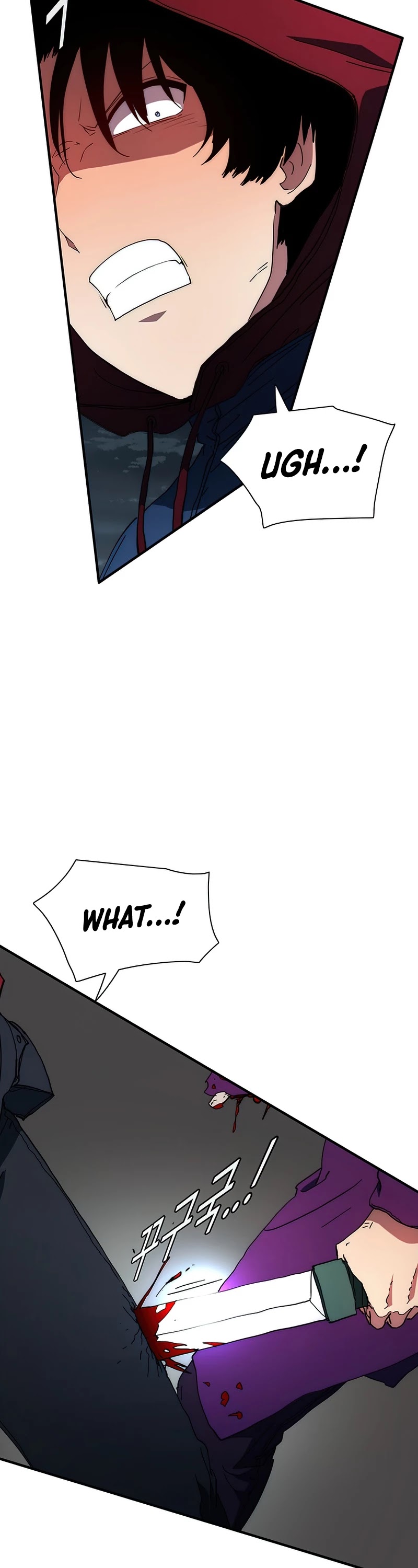 I'm the Only One Loved by the Constellations! Chapter 37 page 4 - Chapter 37