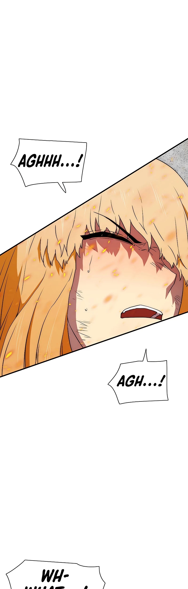 I'm the Only One Loved by the Constellations! Chapter 39 page 15 - Chapter 39