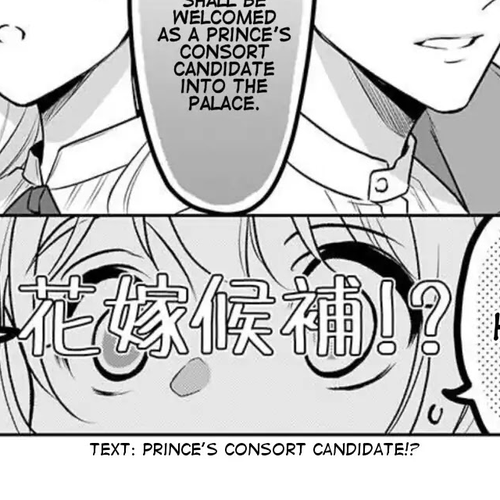 I’m the Prince’s Consort Candidate However, I Believe I Can Certainly Surpass It! Chapter 1 cover