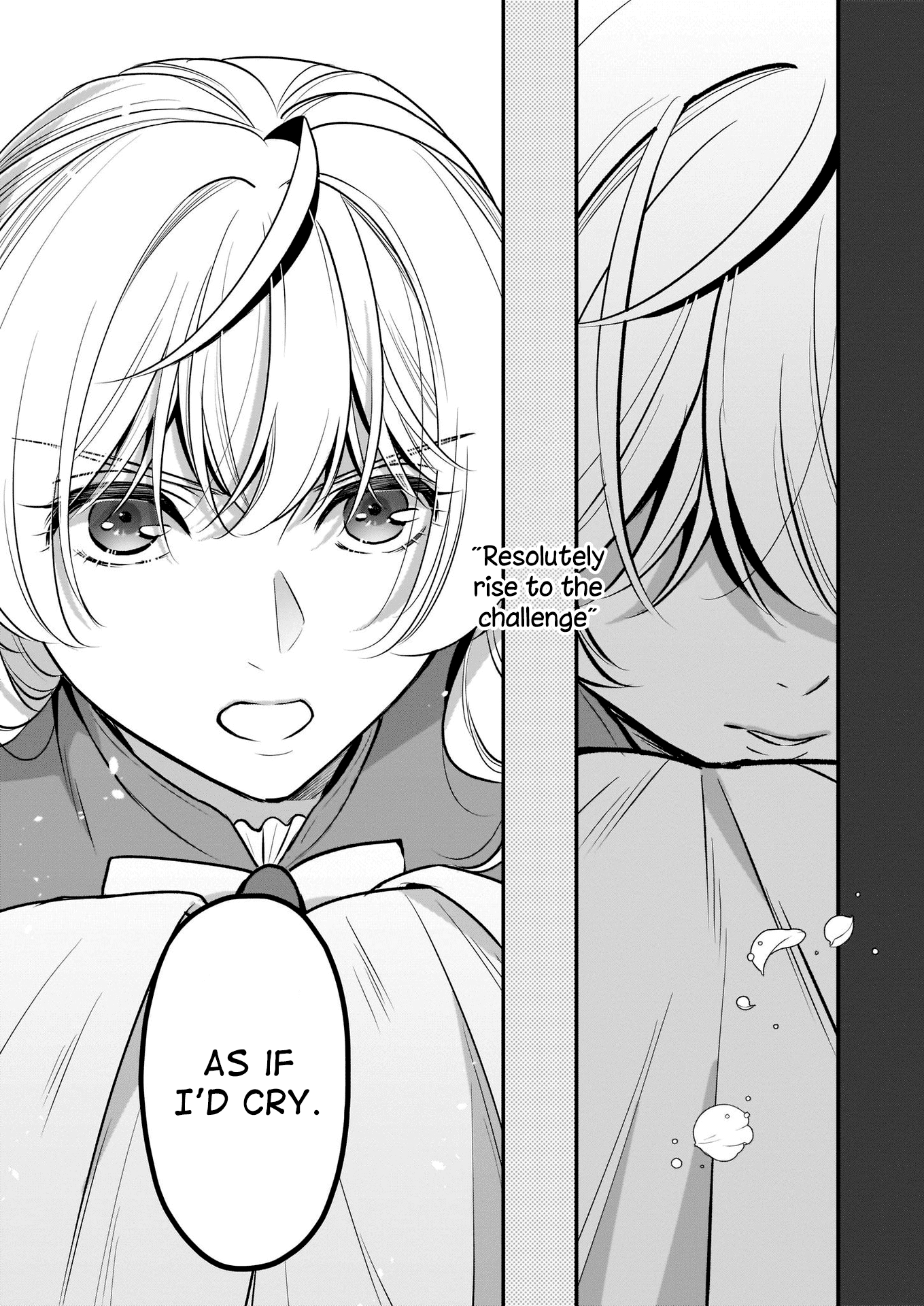 I’m the Prince’s Consort Candidate However, I Believe I Can Certainly Surpass It! Chapter 13 page 29 - Chapter 13