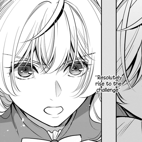 I’m the Prince’s Consort Candidate However, I Believe I Can Certainly Surpass It! Chapter 13 cover
