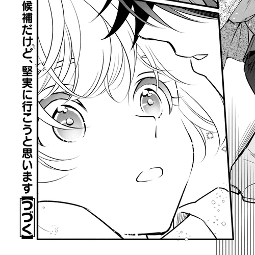 I’m the Prince’s Consort Candidate However, I Believe I Can Certainly Surpass It! Chapter 16.1 cover